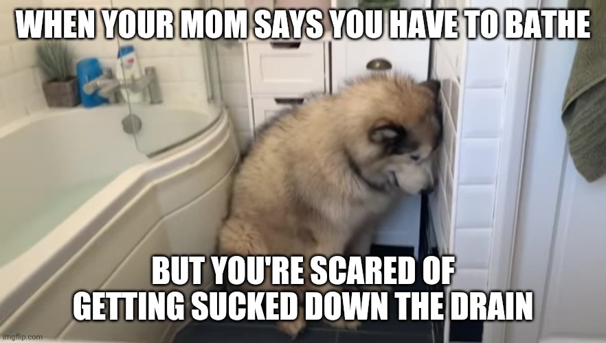There's a clown down there... | WHEN YOUR MOM SAYS YOU HAVE TO BATHE; BUT YOU'RE SCARED OF GETTING SUCKED DOWN THE DRAIN | image tagged in phil doesn't want a bath | made w/ Imgflip meme maker