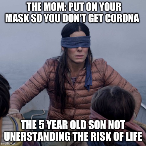 Bird Box | THE MOM: PUT ON YOUR MASK SO YOU DON'T GET CORONA; THE 5 YEAR OLD SON NOT UNERSTANDING THE RISK OF LIFE | image tagged in memes,bird box | made w/ Imgflip meme maker