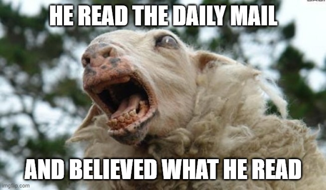MSM SHEEP | HE READ THE DAILY MAIL; AND BELIEVED WHAT HE READ | image tagged in scared sheep | made w/ Imgflip meme maker