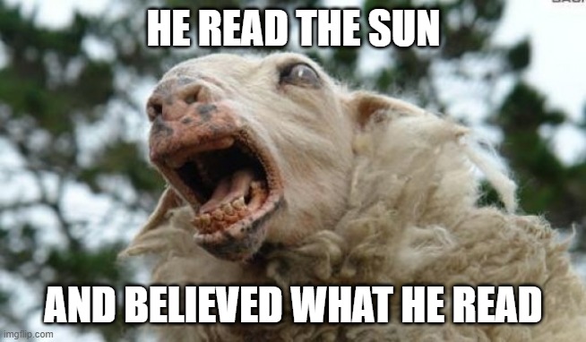 MSM SHEEP | HE READ THE SUN; AND BELIEVED WHAT HE READ | image tagged in scared sheep | made w/ Imgflip meme maker