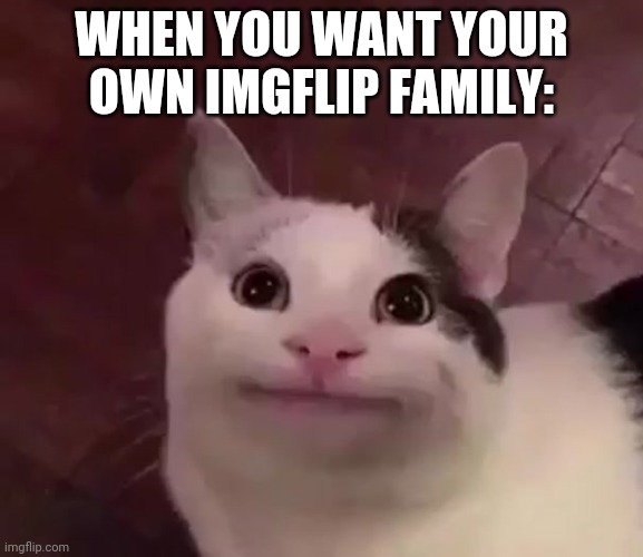 Awkward Cat | WHEN YOU WANT YOUR OWN IMGFLIP FAMILY: | image tagged in awkward cat | made w/ Imgflip meme maker