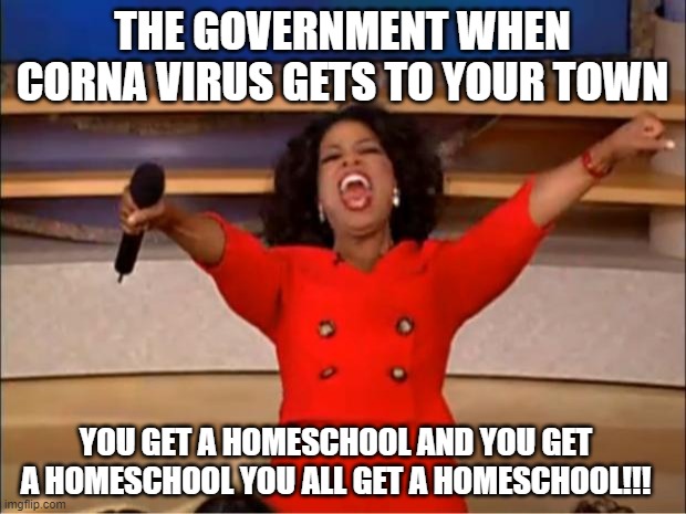 Homeschooling and the government be like | THE GOVERNMENT WHEN CORNA VIRUS GETS TO YOUR TOWN; YOU GET A HOMESCHOOL AND YOU GET A HOMESCHOOL YOU ALL GET A HOMESCHOOL!!! | image tagged in memes,oprah you get a | made w/ Imgflip meme maker