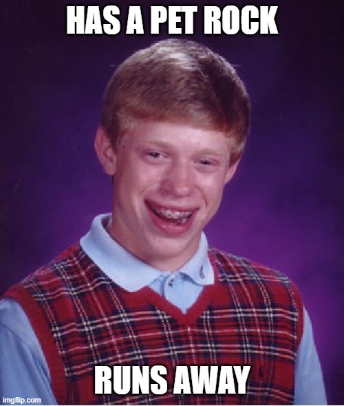 Bad Luck Brian | HAS A PET ROCK; RUNS AWAY | image tagged in memes,bad luck brian | made w/ Imgflip meme maker