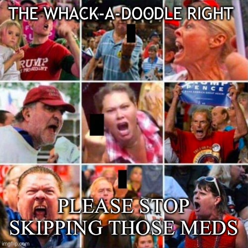 Trump rally Whack-a-doodles Triggered | THE WHACK-A-DOODLE RIGHT; PLEASE STOP SKIPPING THOSE MEDS | image tagged in donald trump,joe biden,politics,funny,triggered,right wing | made w/ Imgflip meme maker