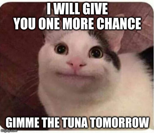 Polite Cat | I WILL GIVE YOU ONE MORE CHANCE; GIMME THE TUNA TOMORROW | image tagged in polite cat | made w/ Imgflip meme maker