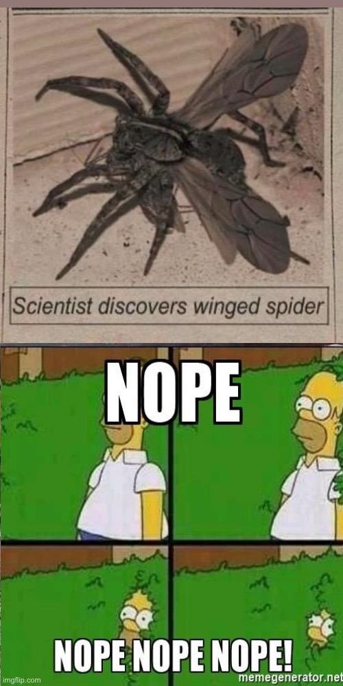 The Earth just got scarier. | image tagged in nope | made w/ Imgflip meme maker