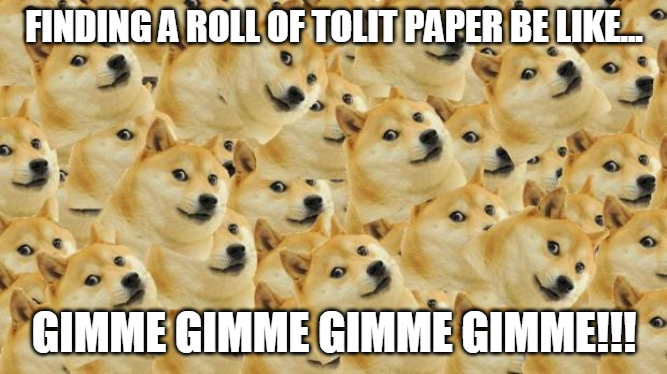 High Quality tolit paper rant doge Blank Meme Template