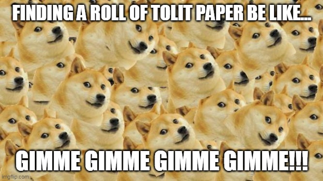 tolit paper rant doge | image tagged in tolit paper rant doge | made w/ Imgflip meme maker