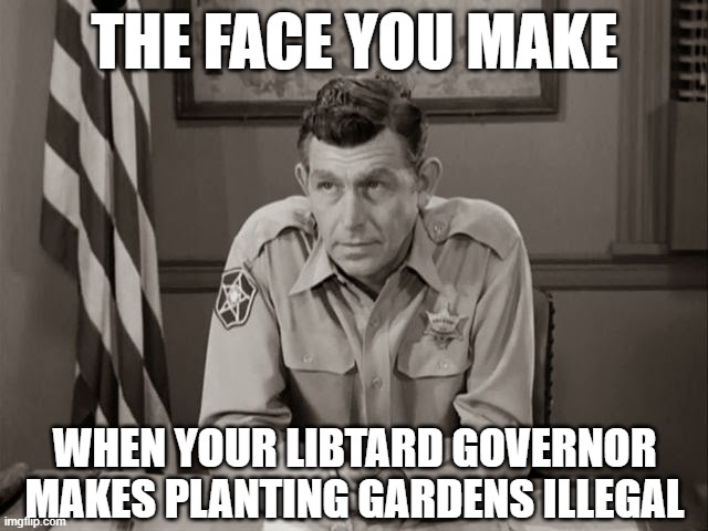 #ReopenAmerica Now | THE FACE YOU MAKE; WHEN YOUR LIBTARD GOVERNOR MAKES PLANTING GARDENS ILLEGAL | image tagged in when you know you're screwed - andy griffith | made w/ Imgflip meme maker