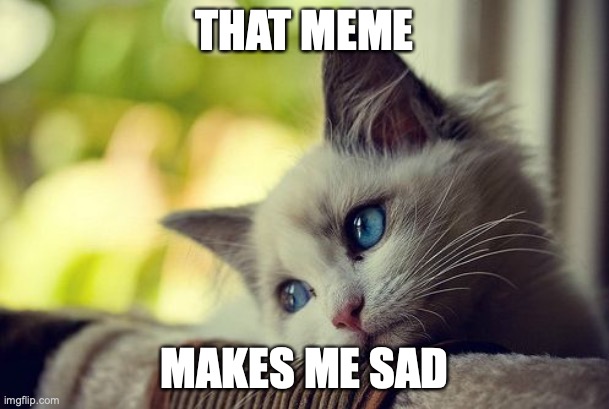 First World Problems Cat | THAT MEME; MAKES ME SAD | image tagged in memes,first world problems cat | made w/ Imgflip meme maker