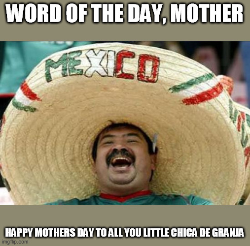 mexican word of the day | WORD OF THE DAY, MOTHER; HAPPY MOTHERS DAY TO ALL YOU LITTLE CHICA DE GRANJA | image tagged in mexican word of the day | made w/ Imgflip meme maker