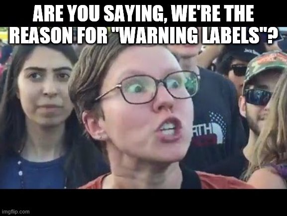 Angry sjw | ARE YOU SAYING, WE'RE THE REASON FOR "WARNING LABELS"? | image tagged in angry sjw | made w/ Imgflip meme maker