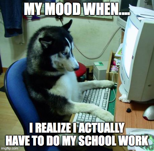 Mood | MY MOOD WHEN.... I REALIZE I ACTUALLY HAVE TO DO MY SCHOOL WORK | image tagged in memes,i have no idea what i am doing | made w/ Imgflip meme maker