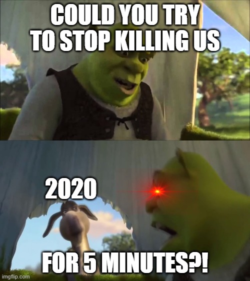 shrek five minutes | COULD YOU TRY TO STOP KILLING US; 2020; FOR 5 MINUTES?! | image tagged in shrek five minutes | made w/ Imgflip meme maker