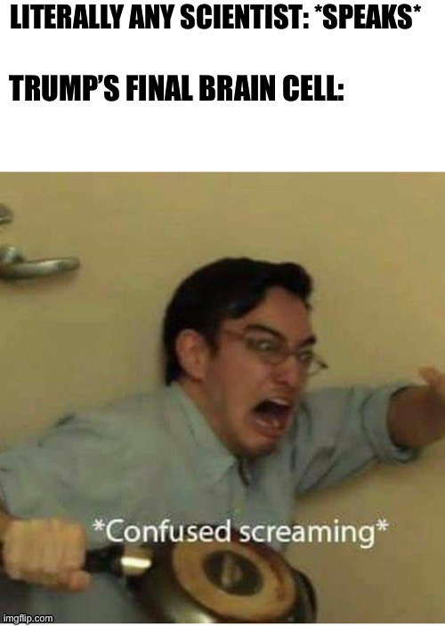 He Is Literally Stupid | image tagged in donald trump,trump,confused screaming,memes,politics,science | made w/ Imgflip meme maker