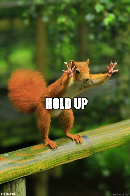 Wait a Minute Squirrel | HOLD UP | image tagged in wait a minute squirrel | made w/ Imgflip meme maker