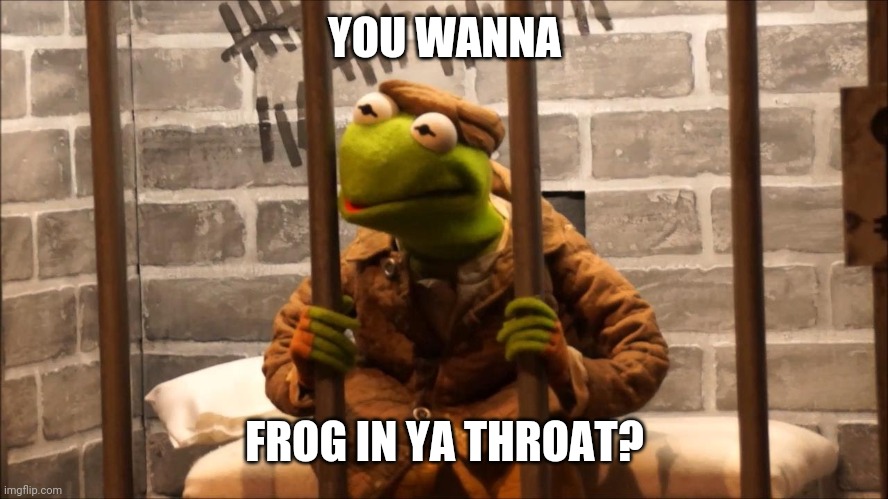 Kermit is your jailmate | YOU WANNA; FROG IN YA THROAT? | image tagged in kermit in jail,kermit,jail,frog | made w/ Imgflip meme maker