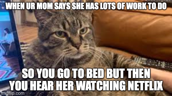 WHEN UR MOM SAYS SHE HAS LOTS OF WORK TO DO; SO YOU GO TO BED BUT THEN YOU HEAR HER WATCHING NETFLIX | image tagged in fat cat | made w/ Imgflip meme maker