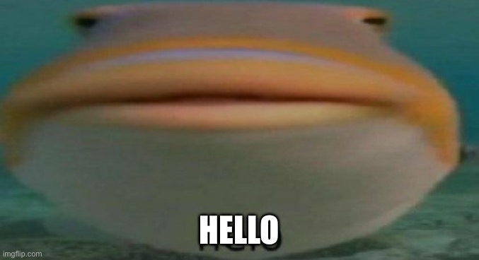 Hey ur back |  HELLO | image tagged in helo | made w/ Imgflip meme maker