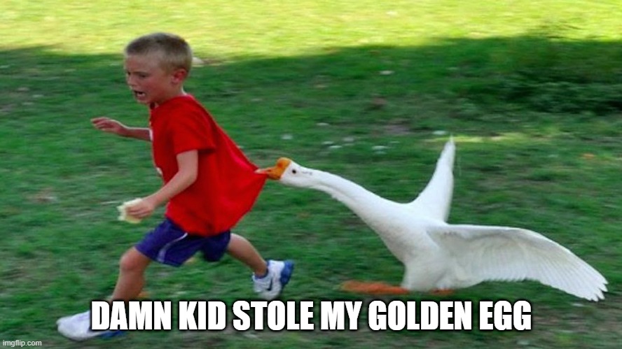 Goosed | DAMN KID STOLE MY GOLDEN EGG | image tagged in goose | made w/ Imgflip meme maker