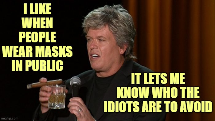 Why not just stay in your basements? | I LIKE WHEN PEOPLE WEAR MASKS IN PUBLIC; IT LETS ME KNOW WHO THE IDIOTS ARE TO AVOID | image tagged in ron white | made w/ Imgflip meme maker