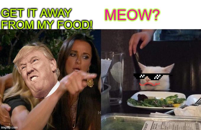 Comment if you want me to make another meme! | GET IT AWAY FROM MY FOOD! MEOW? | image tagged in memes,woman yelling at cat | made w/ Imgflip meme maker