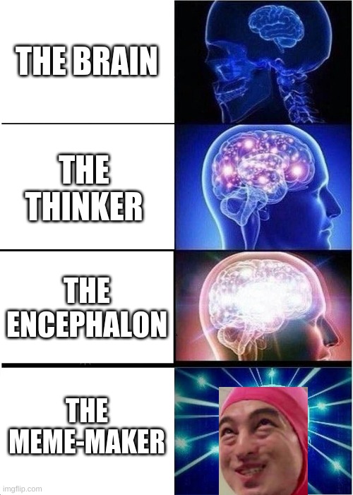 Big brain meme | THE BRAIN; THE THINKER; THE ENCEPHALON; THE MEME-MAKER | image tagged in memes,expanding brain | made w/ Imgflip meme maker