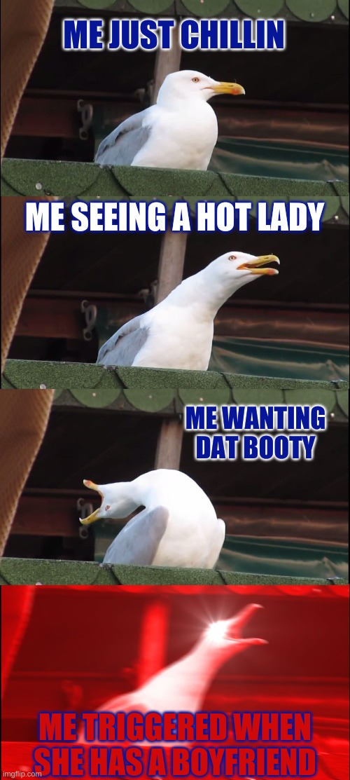 Romance is a b*tch | ME JUST CHILLIN; ME SEEING A HOT LADY; ME WANTING DAT BOOTY; ME TRIGGERED WHEN SHE HAS A BOYFRIEND | image tagged in memes,inhaling seagull,romance | made w/ Imgflip meme maker