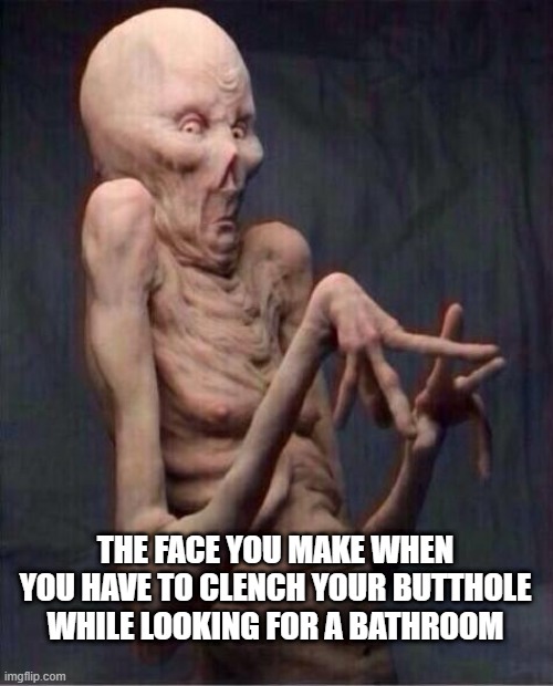 Gotta Go Now!!! | THE FACE YOU MAKE WHEN YOU HAVE TO CLENCH YOUR BUTTHOLE WHILE LOOKING FOR A BATHROOM | image tagged in alien | made w/ Imgflip meme maker