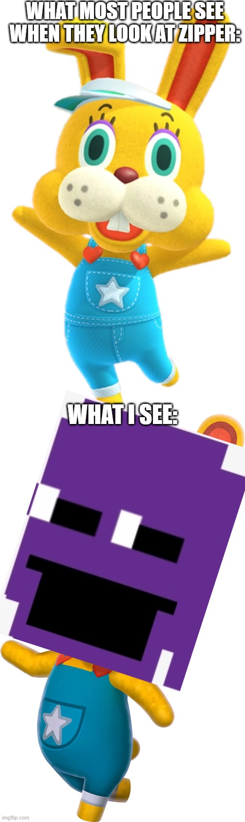 you know your'e one of them | WHAT MOST PEOPLE SEE WHEN THEY LOOK AT ZIPPER:; WHAT I SEE: | image tagged in zipper,animal crossing,purple guy,the man behind the slaughter,memes,funny | made w/ Imgflip meme maker