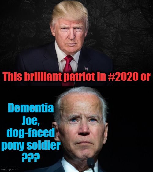 Common Sense VS Common Core | Dementia Joe, dog-faced pony soldier
??? This brilliant patriot in #2020 or | image tagged in political meme,politics,donald trump,politicians,joe biden,liberal vs conservative | made w/ Imgflip meme maker