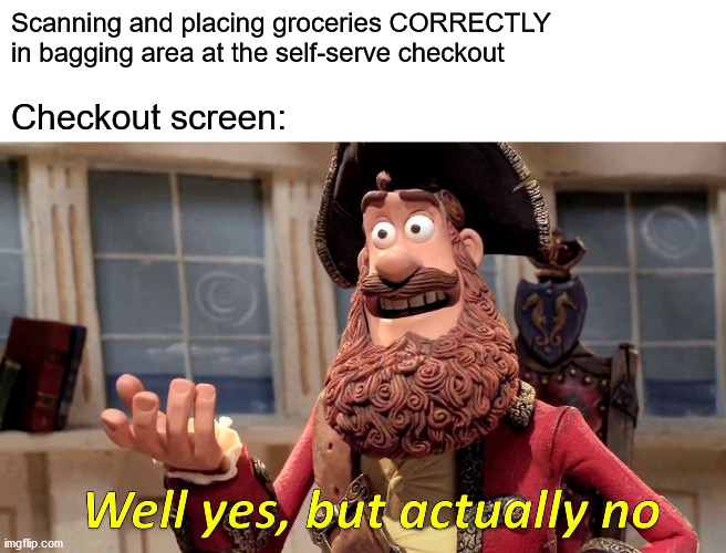 Unexpected item in bagging area | Scanning and placing groceries CORRECTLY 
in bagging area at the self-serve checkout; Checkout screen: | image tagged in memes,well yes but actually no | made w/ Imgflip meme maker