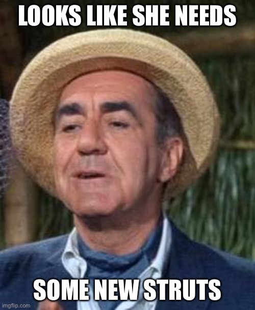 Thurston Howell the 3rd | LOOKS LIKE SHE NEEDS SOME NEW STRUTS | image tagged in thurston howell the 3rd | made w/ Imgflip meme maker