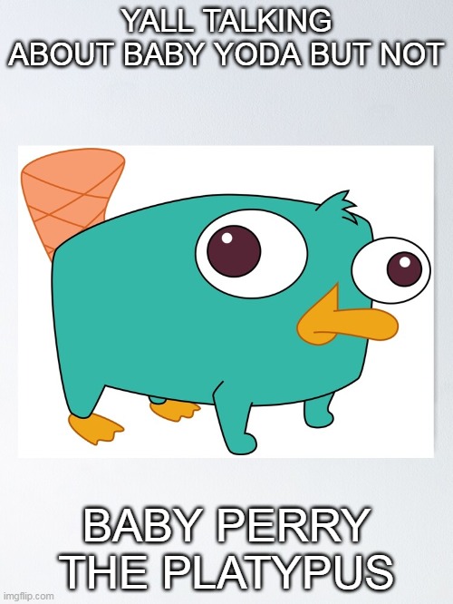 Baby Perry The Platypus | YALL TALKING ABOUT BABY YODA BUT NOT; BABY PERRY THE PLATYPUS | image tagged in platypus | made w/ Imgflip meme maker