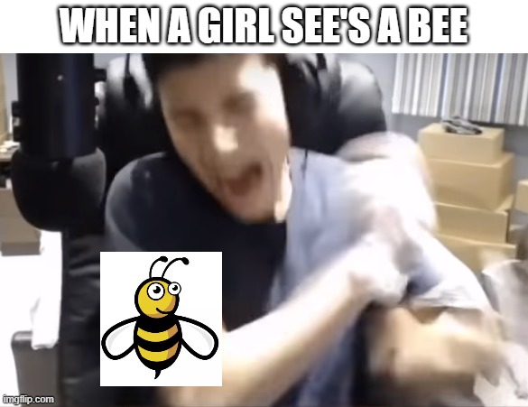 WHEN A GIRL SEE'S A BEE | image tagged in memes | made w/ Imgflip meme maker