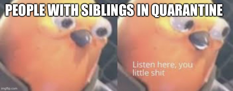 They’re driving me crazy | PEOPLE WITH SIBLINGS IN QUARANTINE | image tagged in listen here you little shit bird | made w/ Imgflip meme maker