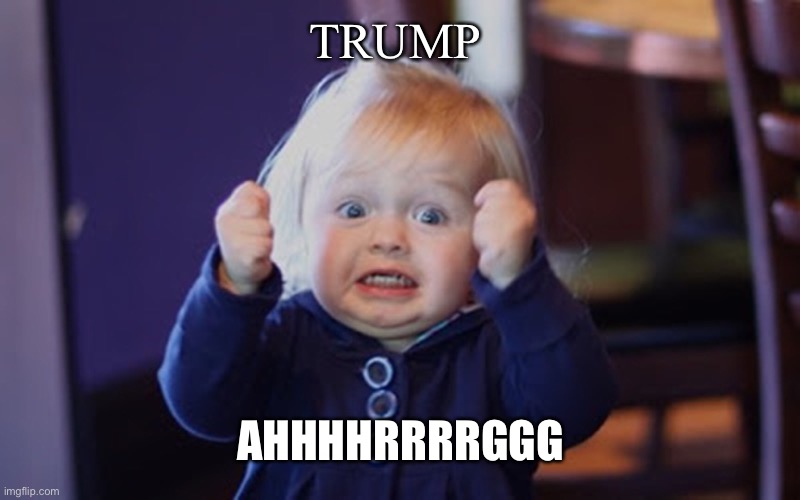 TRUMP AHHHHRRRRGGG | made w/ Imgflip meme maker