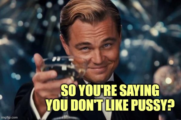Leonardo Dicaprio Cheers Meme | SO YOU'RE SAYING YOU DON'T LIKE PUSSY? | image tagged in memes,leonardo dicaprio cheers | made w/ Imgflip meme maker