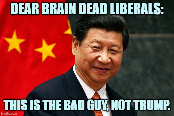 Libs = Misdirection, Deflection, Deception | DEAR BRAIN DEAD LIBERALS:; THIS IS THE BAD GUY, NOT TRUMP. | image tagged in xi jinping | made w/ Imgflip meme maker
