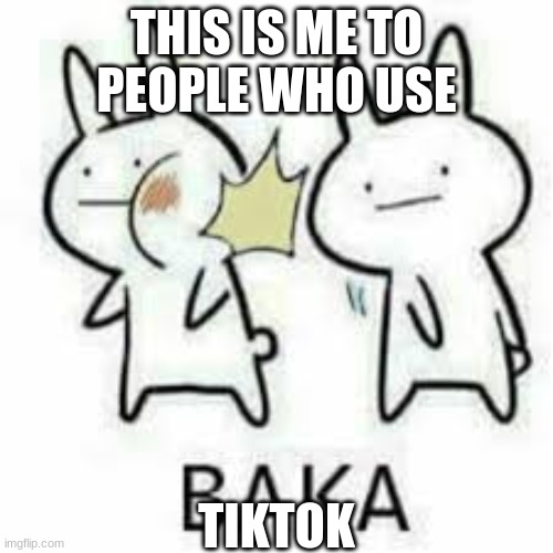 TikTok is dumb | THIS IS ME TO PEOPLE WHO USE; TIKTOK | image tagged in slap,tiktok | made w/ Imgflip meme maker
