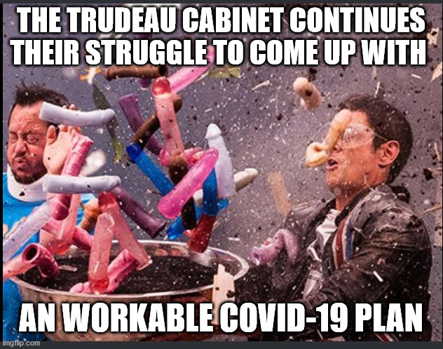 The struggle continues | THE TRUDEAU CABINET CONTINUES THEIR STRUGGLE TO COME UP WITH; AN WORKABLE COVID-19 PLAN | image tagged in dilos jackass,meanwhile in canada,scumbag government | made w/ Imgflip meme maker