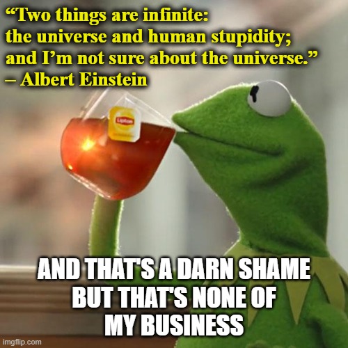 But That's None Of My Business Meme | “Two things are infinite:
the universe and human stupidity;
and I’m not sure about the universe.”
– Albert Einstein; AND THAT'S A DARN SHAME
BUT THAT'S NONE OF
MY BUSINESS | image tagged in memes,but that's none of my business,kermit the frog,humanity,msm lies,liberal hypocrisy | made w/ Imgflip meme maker