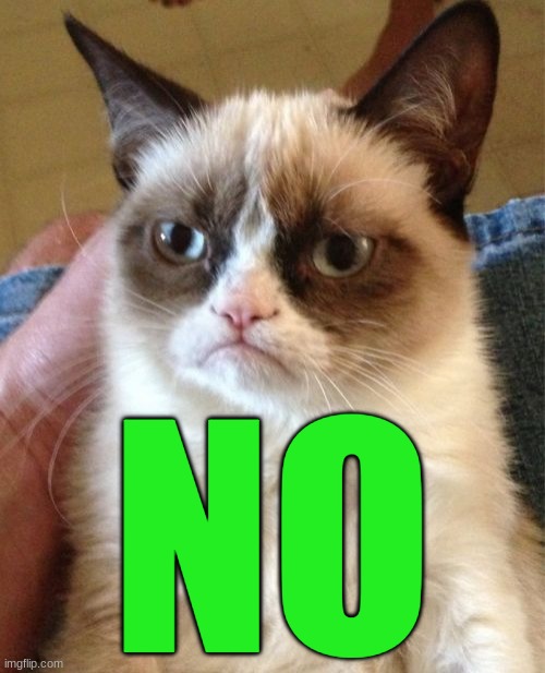 Grumpy Cat Meme | NO | image tagged in memes,grumpy cat | made w/ Imgflip meme maker