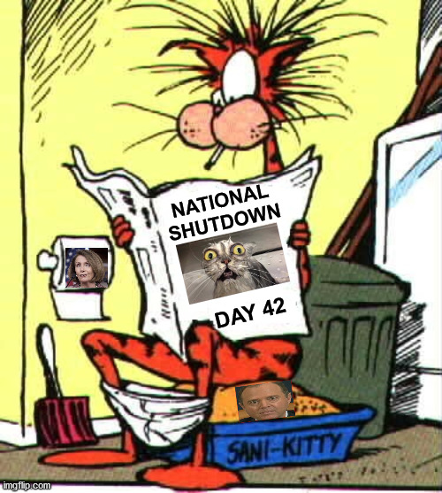 Crazy Cat | NATIONAL
SHUTDOWN; DAY 42 | image tagged in crazy cat,memes,nancy pelosi,adam schiff,shutdown,coronavirus | made w/ Imgflip meme maker