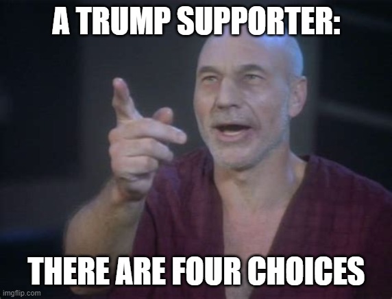 picard four lights | A TRUMP SUPPORTER: THERE ARE FOUR CHOICES | image tagged in picard four lights | made w/ Imgflip meme maker