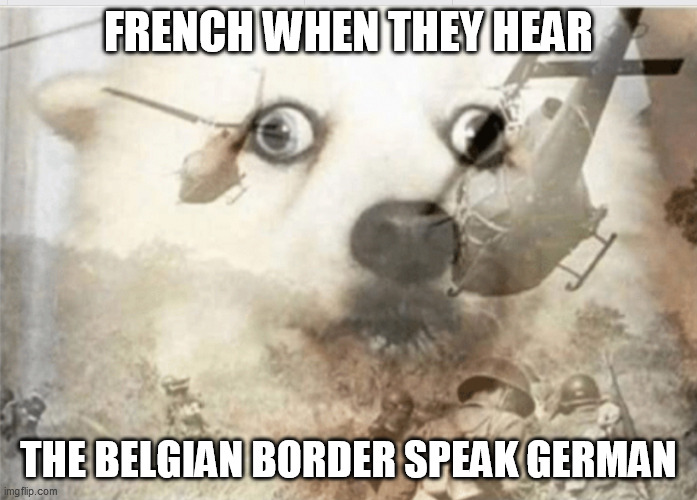 French PTSD |  FRENCH WHEN THEY HEAR; THE BELGIAN BORDER SPEAK GERMAN | image tagged in ptsd dog,ptsd,history,world war 2,world war ii,ww2 | made w/ Imgflip meme maker