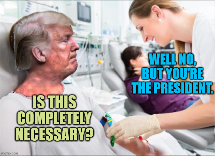 Bedside Don | WELL NO, BUT YOU'RE THE PRESIDENT. IS THIS COMPLETELY NECESSARY? | image tagged in donald trump,memes,clorox,dump trump,election 2020,joe biden | made w/ Imgflip meme maker