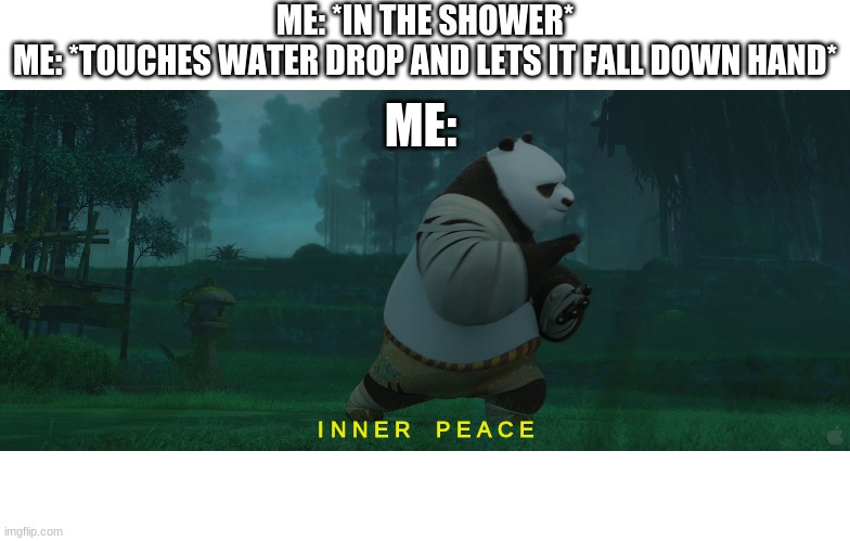 Only true children will laugh at this | ME: *IN THE SHOWER*
ME: *TOUCHES WATER DROP AND LETS IT FALL DOWN HAND*; ME:; I N N E R    P E A C E | image tagged in kung fu panda | made w/ Imgflip meme maker