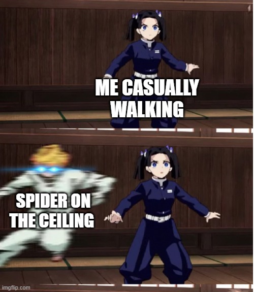 spider attack | ME CASUALLY WALKING; SPIDER ON THE CEILING | image tagged in zenitsu training | made w/ Imgflip meme maker