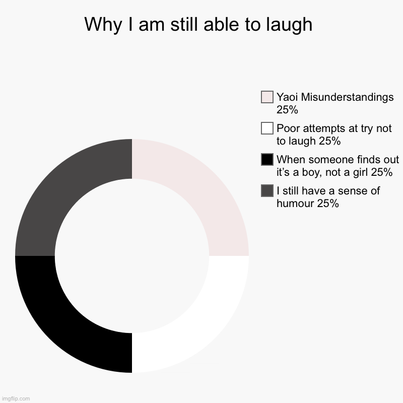 Pretty sure this is horrible, but I can still say I tried | Why I am still able to laugh | I still have a sense of humour 25%, When someone finds out it’s a boy, not a girl 25%, Poor attempts at try n | image tagged in charts,donut charts | made w/ Imgflip chart maker